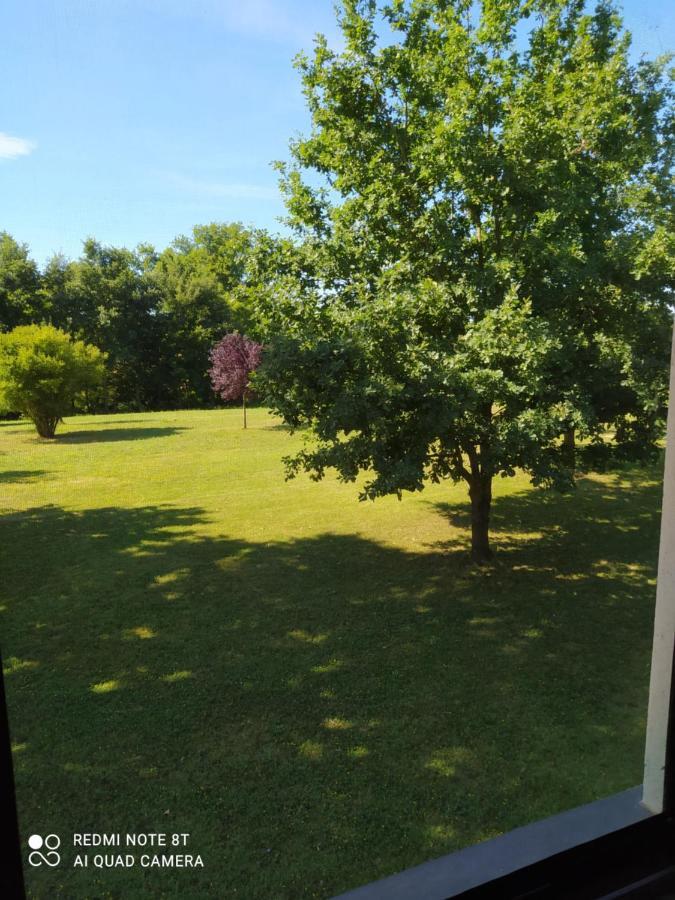 Tigliole Guest House La Carolina מראה חיצוני תמונה